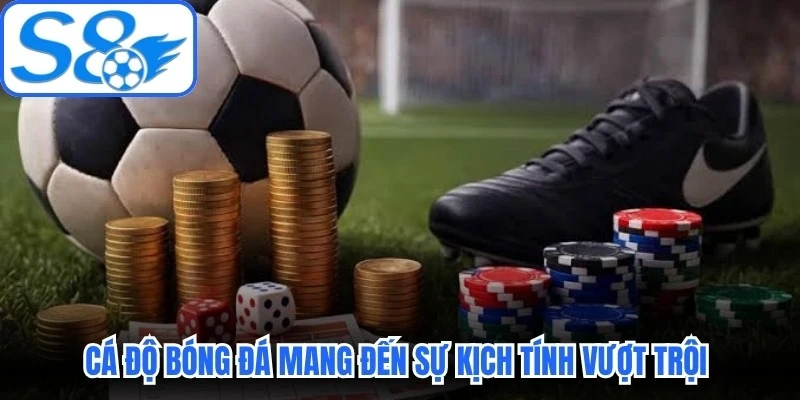 Cá độ bóng đá mang đến sự kịch tính vượt trội cho người hâm mộ Cá độ bóng đá mang đến sự kịch tính vượt trội cho người hâm mộ