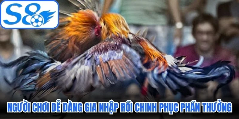 Người chơi dễ dàng gia nhập rồi chinh phục muôn vàn phần thưởng Người chơi dễ dàng gia nhập rồi chinh phục muôn vàn phần thưởng